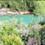 rio guadiaro en cañon Buitreras